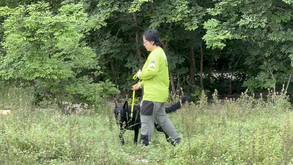 เร่งระดม K9 ค้นหา 2 พี่น้องรัสเซียสูญหายในชลบุรี