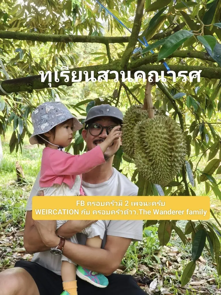 "เวียร์ ศุกลวัฒน์" เปิดสวนคณารศ โชว์ผลผลิตทุเรียนหมอนทอง