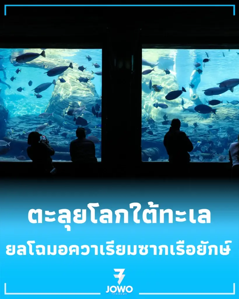 ยลโฉม อควาเรียมซากเรือยักษ์ เปิดโลกใต้ทะเลสุดอลังการ