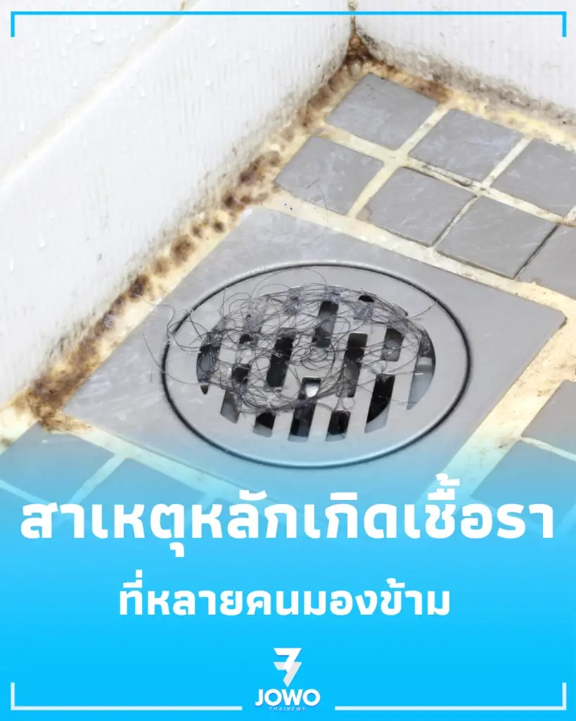 ราดำในห้องน้ำ เกิดจากอะไร ปล่อยทิ้งไว้นานๆ จะเกิดอันตรายหรือไม่