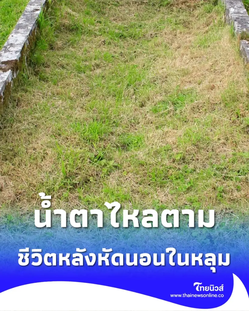 ชาวเน็ตน้ำตาไหลตาม ชีวิตล่าสุด หนูน้อย พ่อพาหัดนอนในหลุมให้ชิน