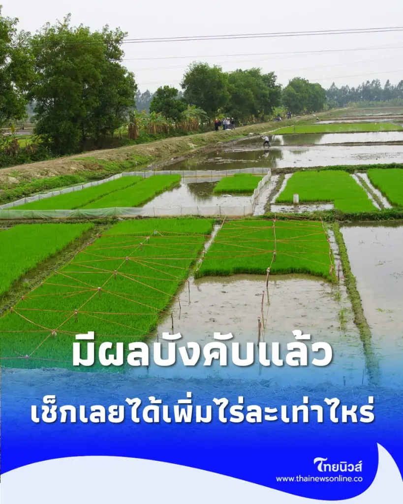 มีผลบังคับแล้ว รัฐเพิ่มเงินชดเชยฉบับใหม่ ได้ไร่ละกี่บาท เช็กเลย