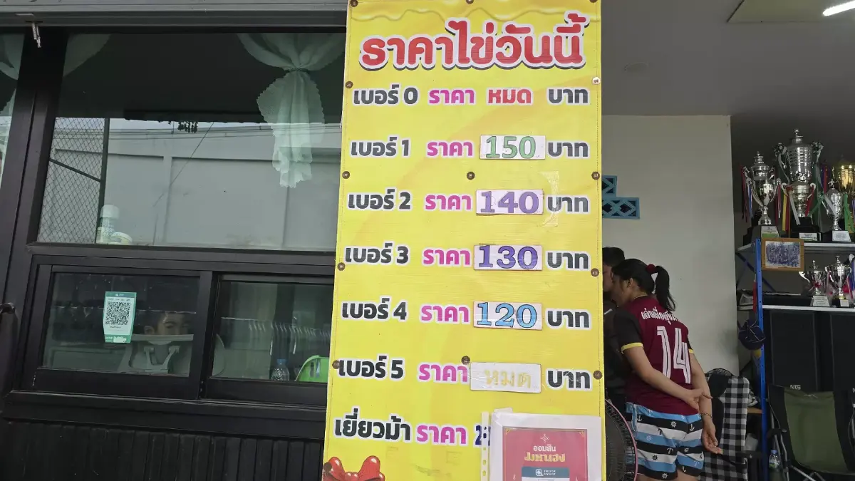ไข่ไก่ขยับขึ้นแผงละ 5 บาท! ร้านใหญ่หนองฉางเจอกระทบของขาดตลาด