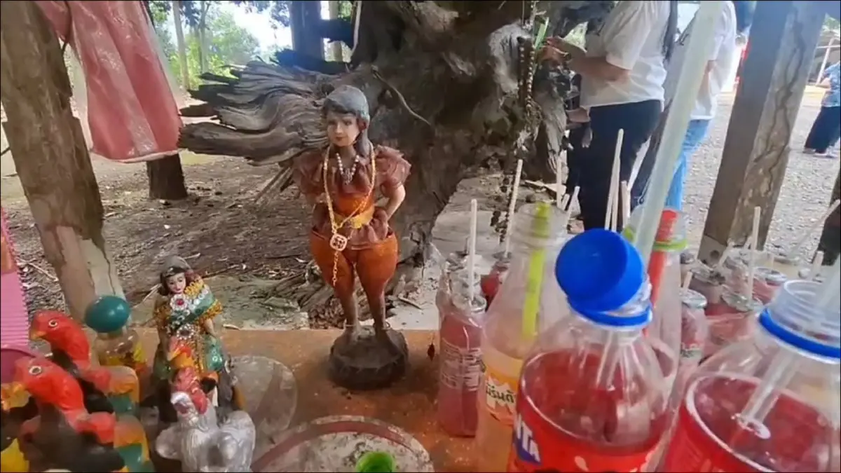 แห่กราบไหว้ - ส่องเลข ‘เจ้าแม่ไม้งาม’ ต้นตะเคียนโบราณ วัดคลองไผ่