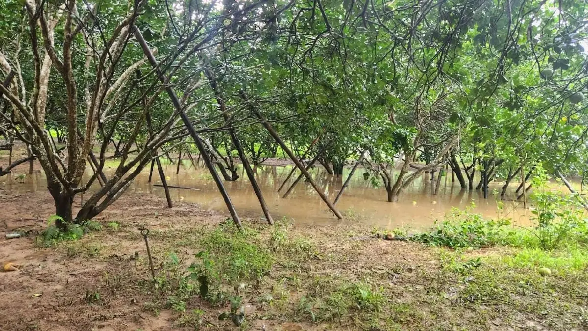 ฝนตกต่อเนื่องทำแม่น้ำแควน้อยปริ่มตลิ่ง ไทรโยคเฝ้าระวังน้ำท่วม 24 ชม. 
