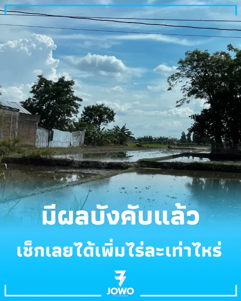 มีผลบังคับแล้ว รัฐเพิ่มเงินชดเชยฉบับใหม่ ได้ไร่ละกี่บาท เช็กเลย