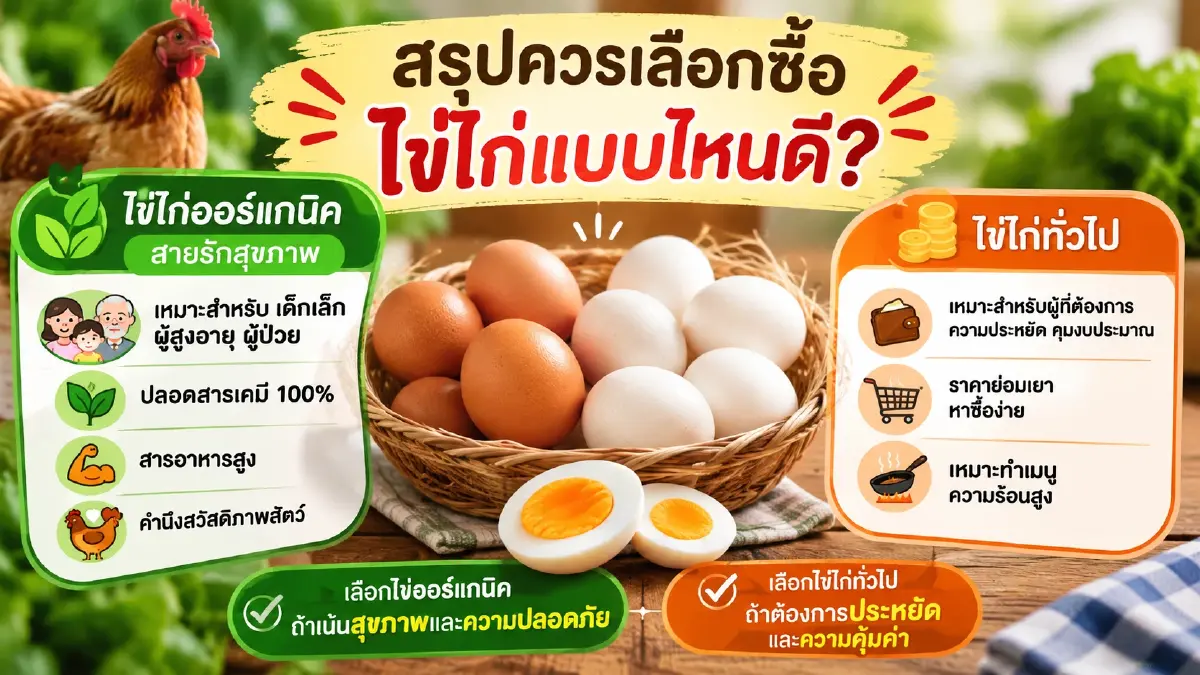 เทียบชัดๆ ต่างกันจริงไหม? ไข่ไก่ออร์แกนิค vs ไข่ไก่ทั่วไป 
