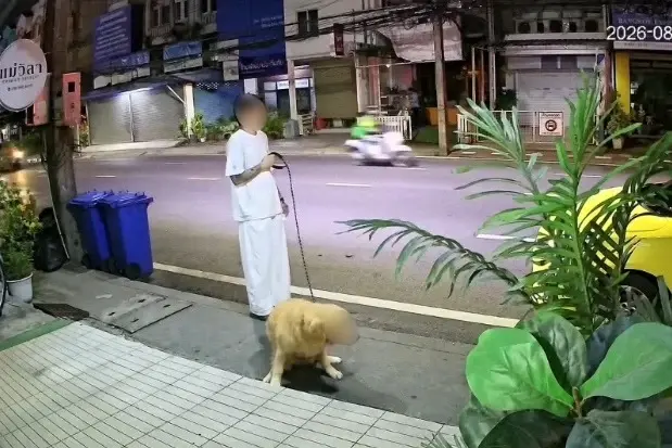 จวกยับ! เจ้าของจูงสุนัขอึทิ้งบนทางเท้าภูเก็ต วงจรปิดจับภาพชัด 