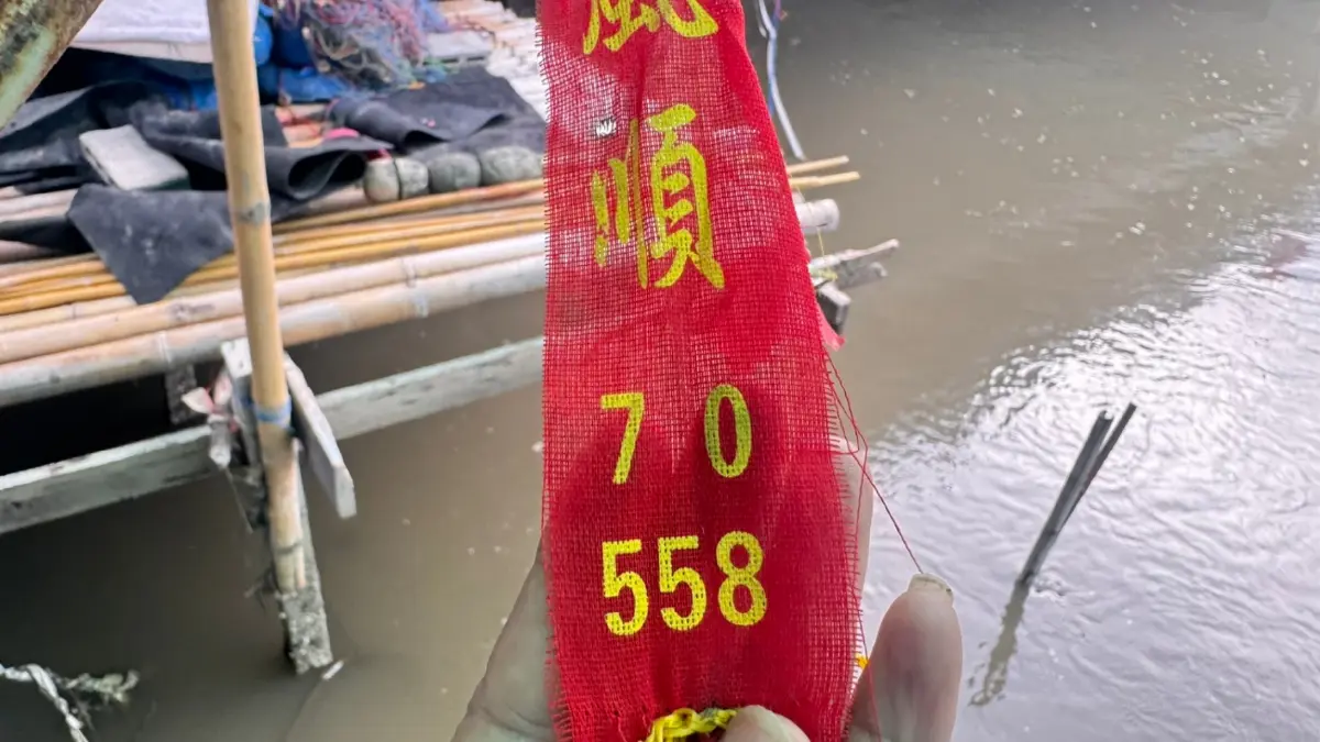 ฮือฮา ตอตะเคียนยักษ์ลอยทวนน้ำ เครนยกไม่ขึ้น 2 ครั้ง ชาวบ้านแห่ส่องเลข