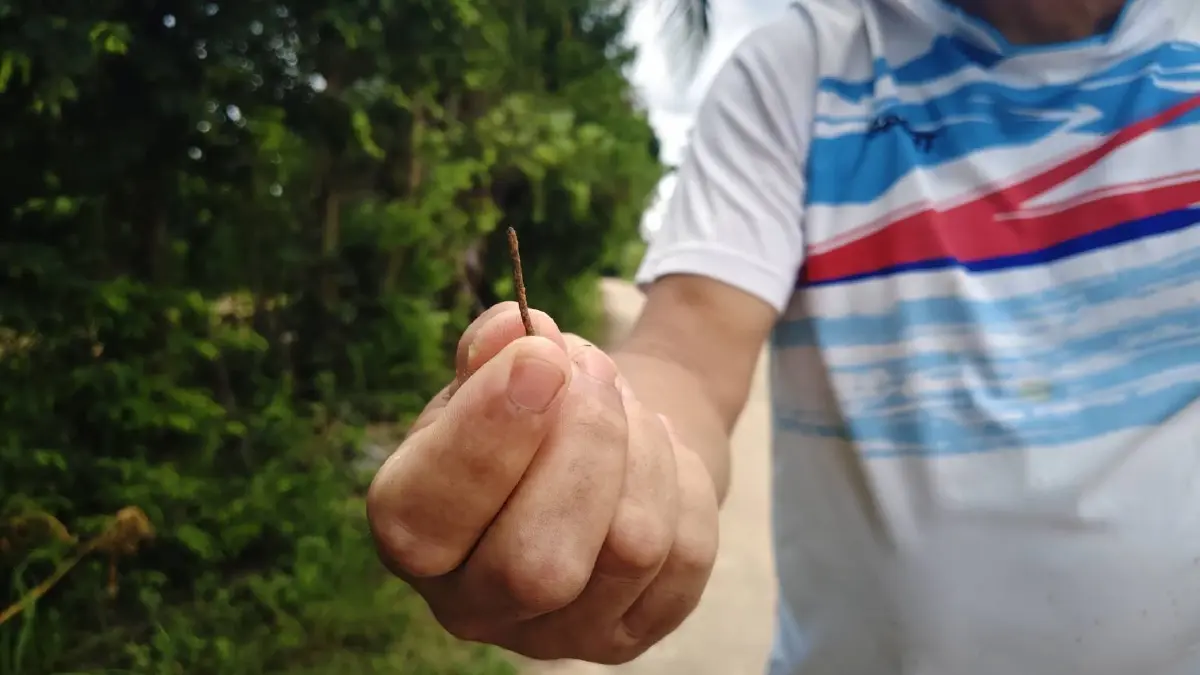 ชาวบ้านผวา! มือดีโรยตะปูเรือใบเกลื่อนถนน ยางพังยกชุด