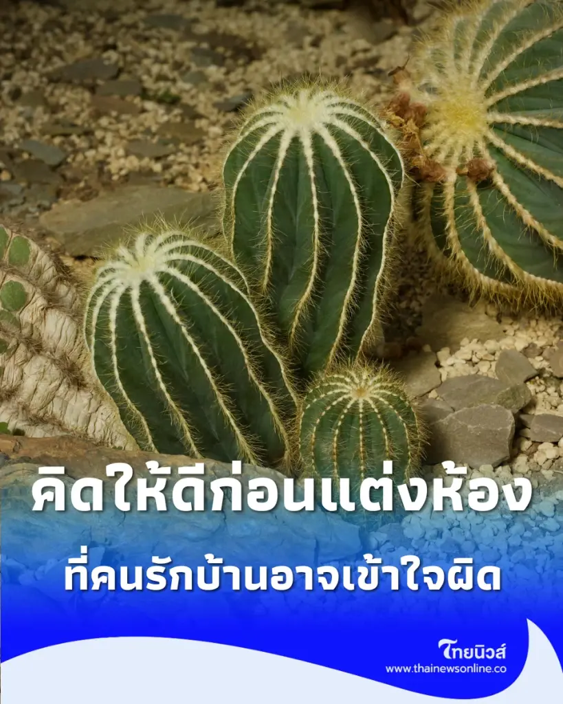 4 ประเภทต้นไม้ต้องห้ามในห้องนอน ที่คนรักบ้านอาจเข้าใจผิด