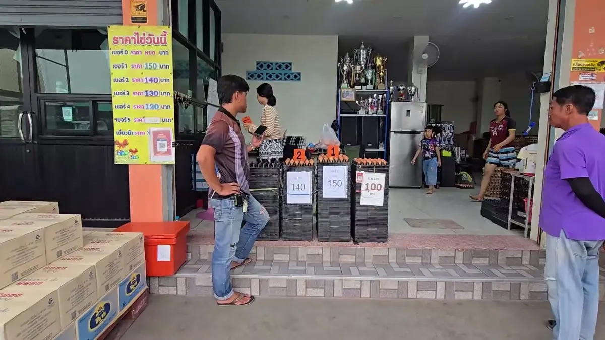 ไข่ไก่ขยับขึ้นแผงละ 5 บาท! ร้านใหญ่หนองฉางเจอกระทบของขาดตลาด