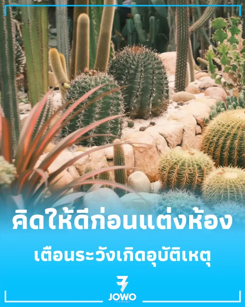 4 ประเภทต้นไม้ต้องห้ามในห้องนอน ที่คนรักบ้านอาจเข้าใจผิด