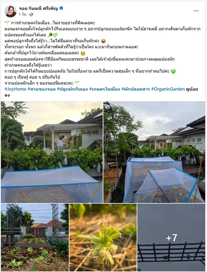 "จอย รินลณี" แชร์มุมสุขเรียบง่าย กางมุ้งปลูกผักกินเองในรั้วบ้าน