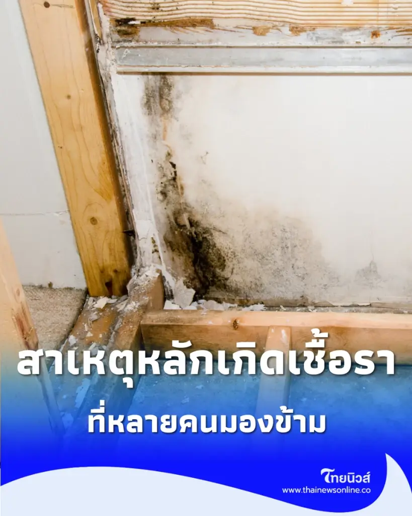 ราดำในห้องน้ำ เกิดจากอะไร ปล่อยทิ้งไว้นานๆ จะเกิดอันตรายหรือไม่