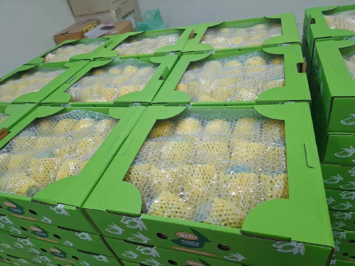 ยกระดับของดีราชบุรี  ขึ้นทะเบียน GI น้องใหม่ "มะนาวแป้นดำเนินสะดวก" และ "มะม่วงน้ำดอกไม้ราชบุรี"