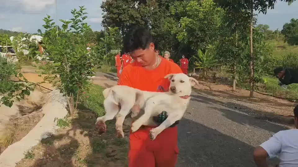 ร้องโหยหวนลั่นป่า 2 วัน! นาทีชีวิตกู้ภัยบุกช่วยตูบติดบ่วงพราน 