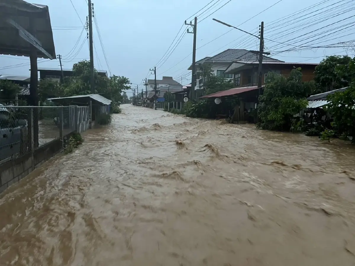 ปภ.เตือนฝนตกหนัก 6 อำเภอ จ.น่าน ระวังน้ำท่วม ดินโคลนถล่ม 