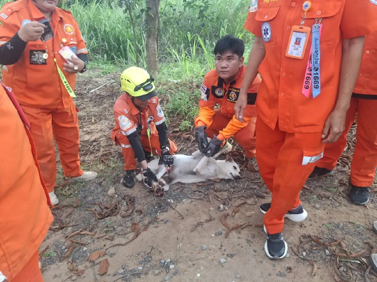 ร้องโหยหวนลั่นป่า 2 วัน! นาทีชีวิตกู้ภัยบุกช่วยตูบติดบ่วงพราน 