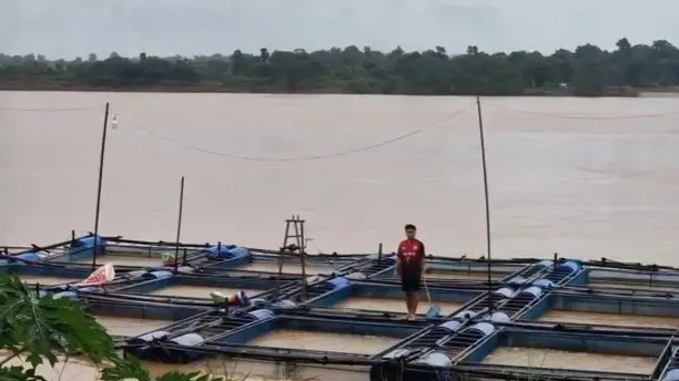ด่วน! น้ำโขงนครพนม พุ่งพรวดวันเดียวทะลุเมตร เร่งรับมือฝนตกหนัก 