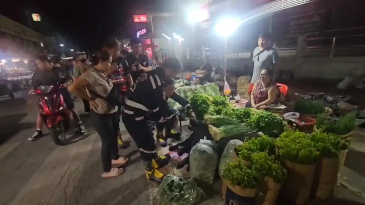 ใจสลาย! ชายปริศนาโยน ลาบราดอร์บาดเจ็บ ทิ้งตลาด ลำปาง 
