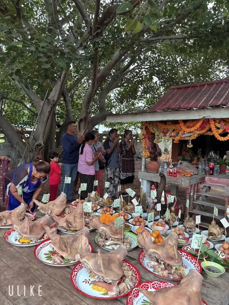 "สุนารี" เผยเลขธูปหลังแก้บนศาลตายาย ครอบครัวขอให้สุขภาพแข็งแรง