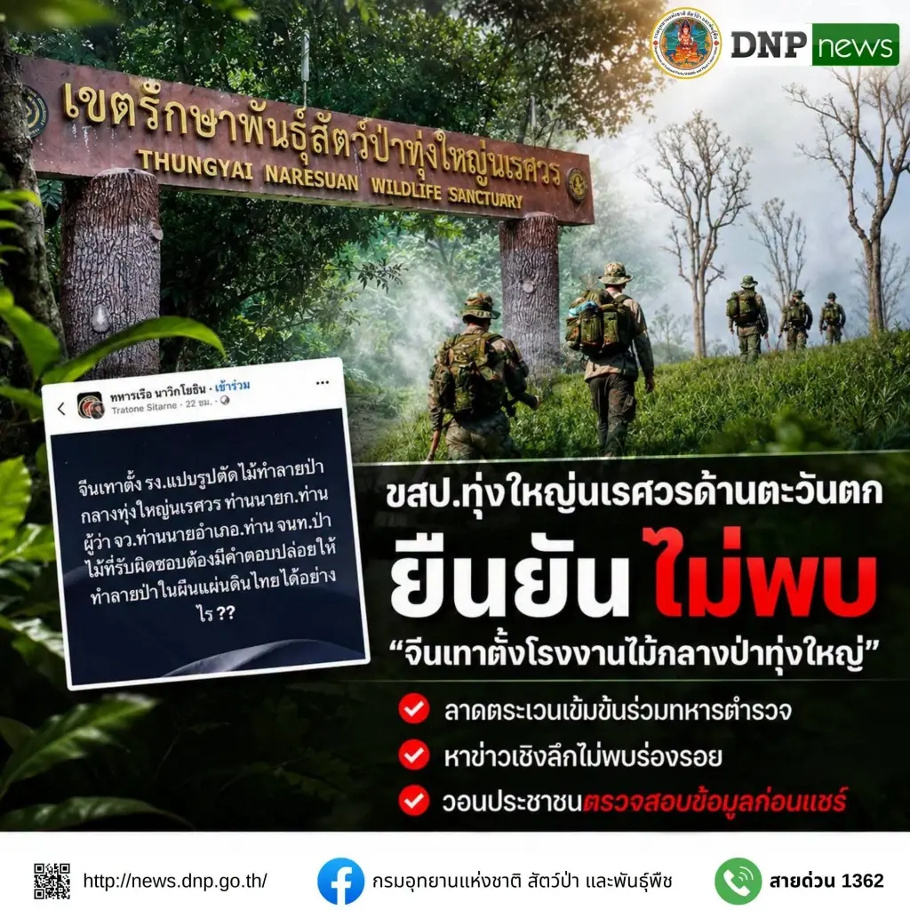 ข่าวปลอม! ทุ่งใหญ่นเรศวรฯ ยืนยันไม่พบ ​จีนเทาตั้งโรงงานไม้กลางป่าทุ่งใหญ่