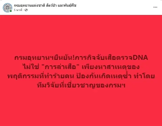 กรมอุทยานฯ สั่งจับเสือห้วยขาแข้งตรวจ DNA ยืนยันไม่ใช่การล่า 