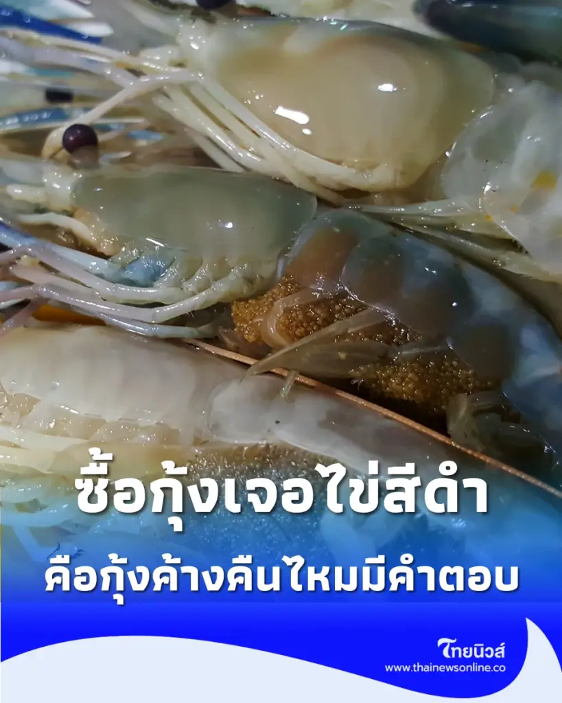  ซื้อกุ้งเจอไข่สีดำ บ่งบอกอะไร กินได้ไหมหรือกุ้งเน่าเสีย มีคำตอบ
