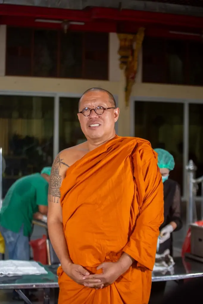 วัดไผ่ล้อมเปิดเนอสเซอรี่แมวจร นครปฐม รอกระจายสู่บ้านใหม่ 