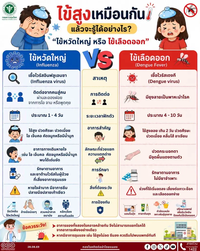 เทียบชัด ไข้หวัดใหญ่ กับ ไข้เลือดออก สังเกตอาการอย่างไร 