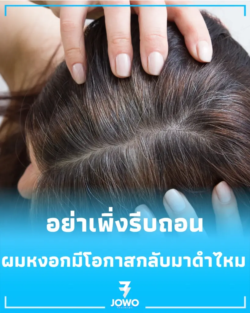 ผมหงอก อย่าเพิ่งรีบถอน เช็กให้ชัวร์ยังมีโอกาสกลับมาดำไหม