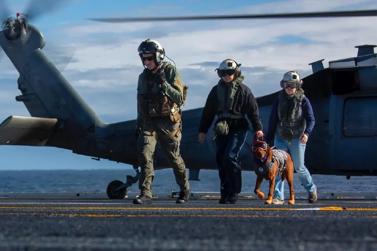 กัปตันแฟธอม สุนัขบำบัด ผู้กุมหัวใจทหารเรือ USS Abraham Lincoln 