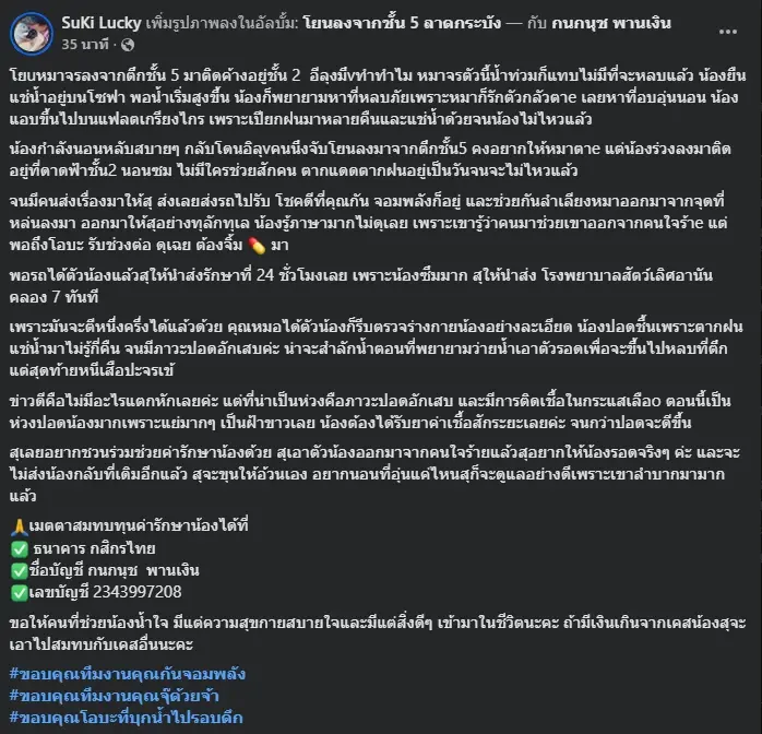เปิดชะตากรรม "หมาจร" นอนหนาวสั่นกลางน้ำท่วม รู้แล้วถึงกับสงสาร