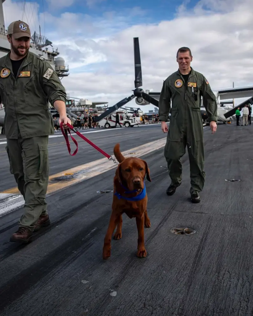 กัปตันแฟธอม สุนัขบำบัด ผู้กุมหัวใจทหารเรือ USS Abraham Lincoln 