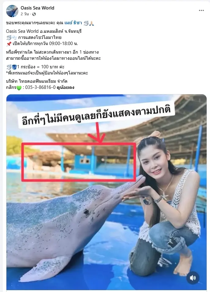 เปิดภาพสะเทือนใจ โลมาแสนรู้พร้อมโชว์ แม้ไร้คนดูหนาแน่น