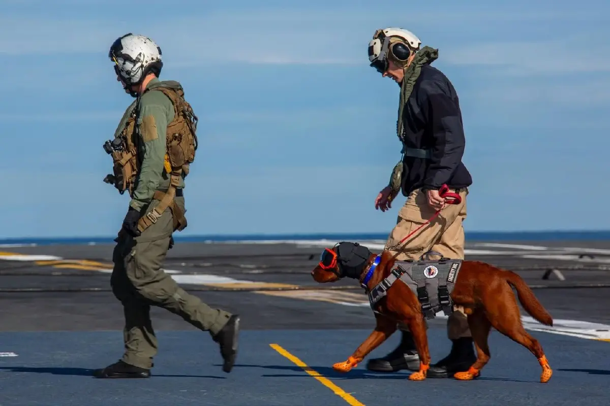 กัปตันแฟธอม สุนัขบำบัด ผู้กุมหัวใจทหารเรือ USS Abraham Lincoln 