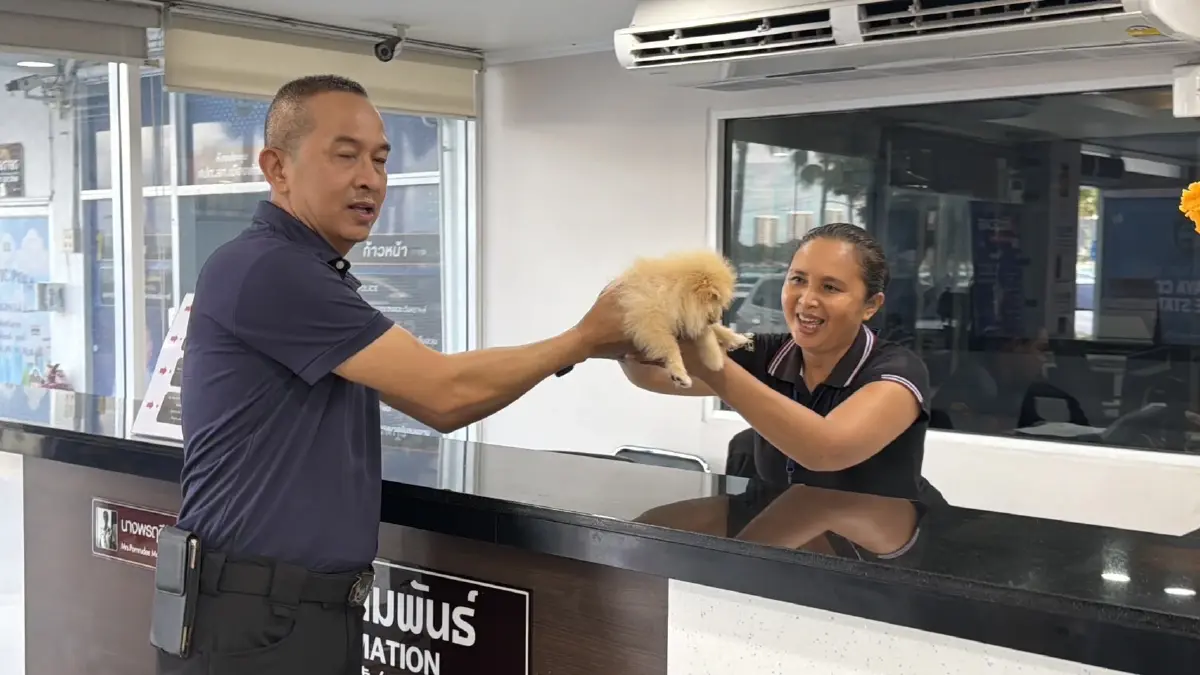 เจ้าของอยู่ไหน? ตร.พัทยารับเลี้ยงลูกปอมหลงทาง รอเจ้าของมารับ
