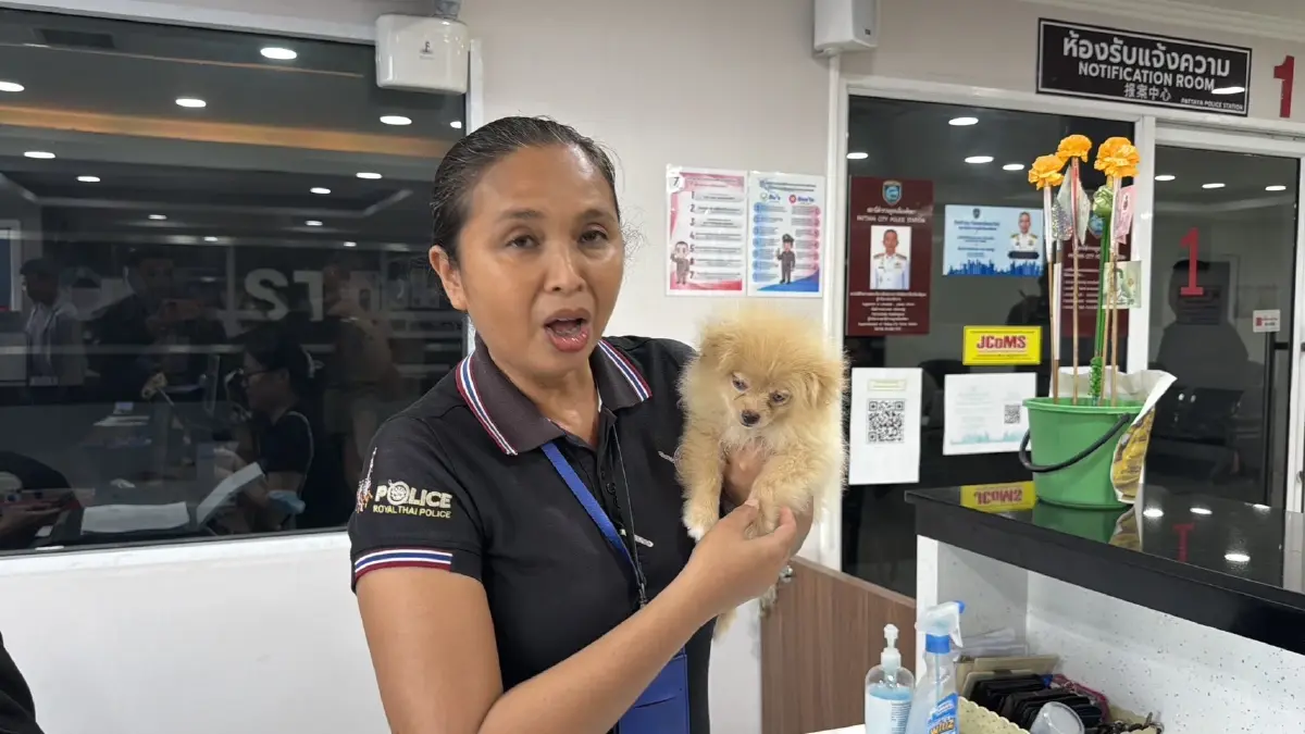 เจ้าของอยู่ไหน? ตร.พัทยารับเลี้ยงลูกปอมหลงทาง รอเจ้าของมารับ