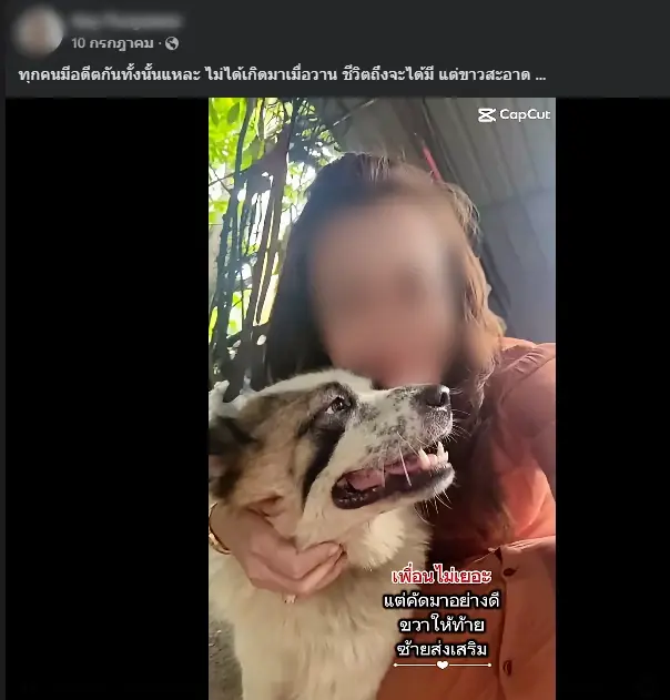 ส่องโพสต์ "สีกาเอ๋" เห็นแล้วตกใจ รู้ว่าสิ่งไหนไม่ดี ยังเดินเข้าไปหา