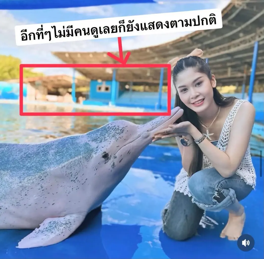 เปิดภาพสะเทือนใจ โลมาแสนรู้พร้อมโชว์ แม้ไร้คนดูหนาแน่น