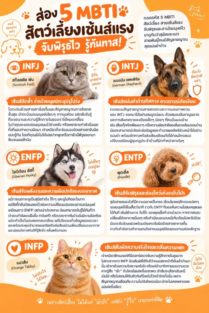 ส่อง 5 MBTI สัตว์เลี้ยงเซ้นส์แรง จับพิรุธไว รู้ทันทาส!