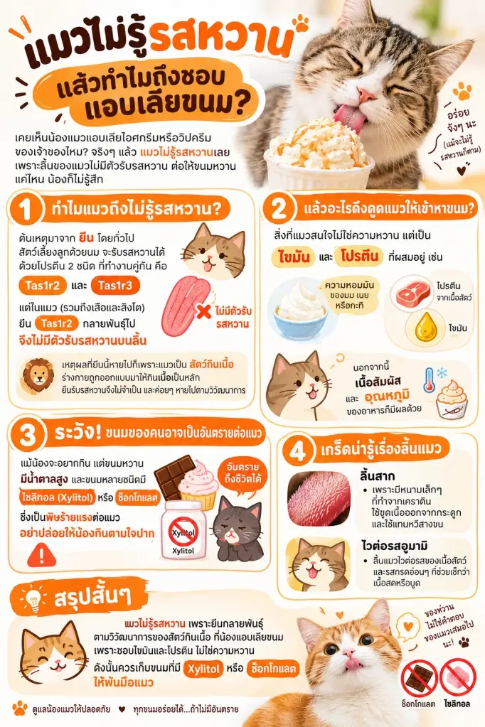แมวแอบเลียไอศกรีม ไม่ได้เพราะหวาน! ความจริงที่เจ้าของไม่รู้