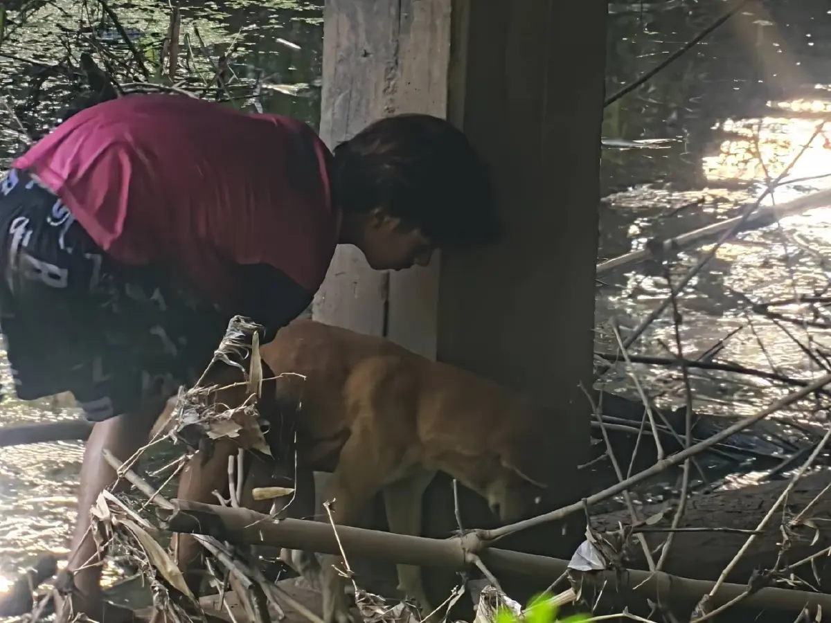 นาทีชีวิต! ช่วยน้องแดงติดตอม่อสะพาน 3 วันส่งเสียงร้องลั่น