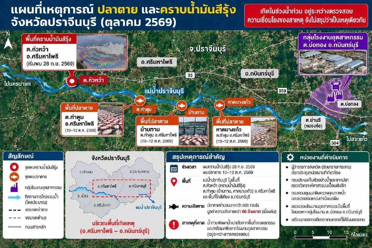 รัฐบาลเร่งหาสาเหตุปลาตาย–คราบน้ำมันสีรุ้ง เผยความคืบหน้าที่ต้องติดตาม