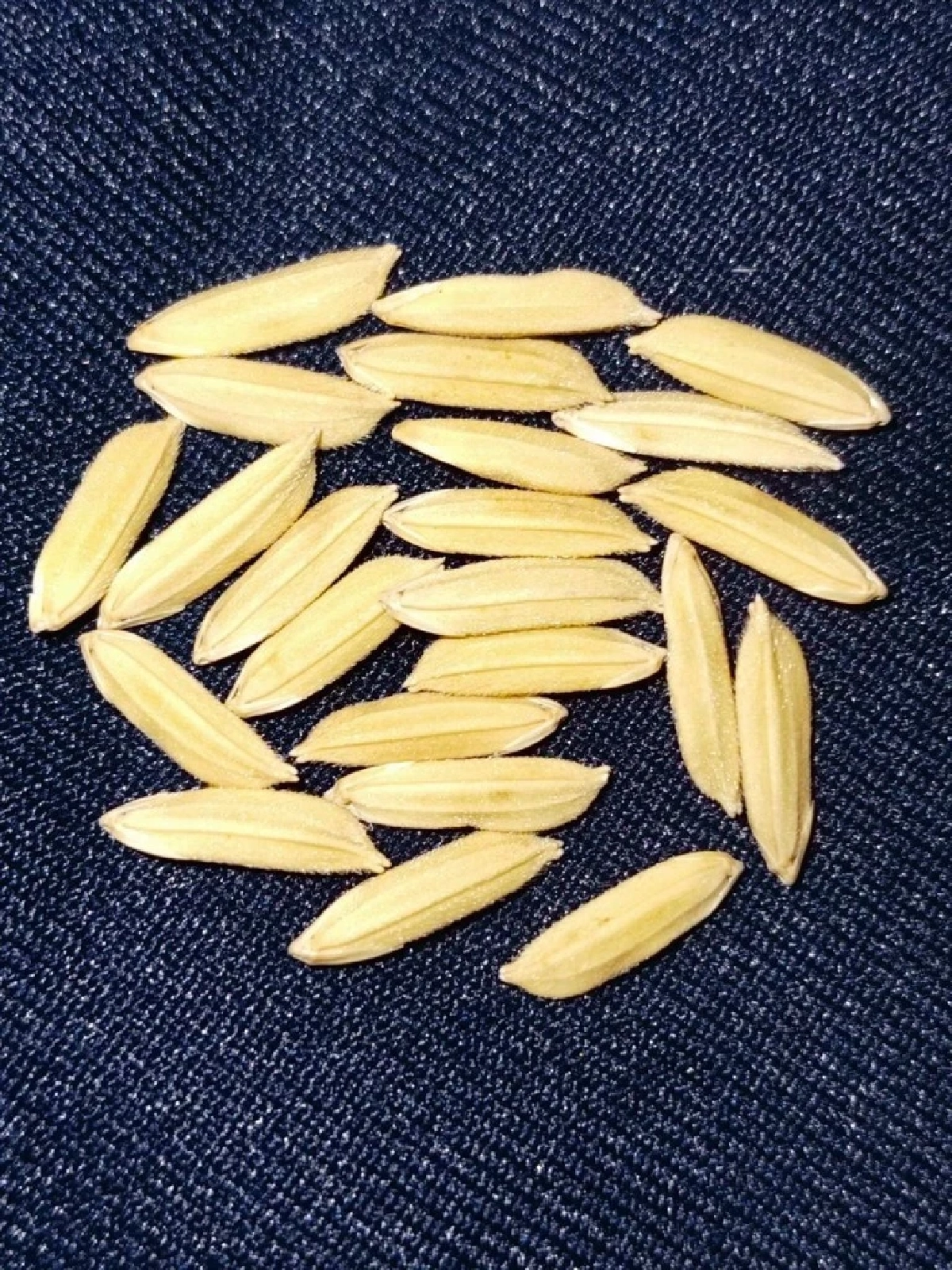 qi29GpO