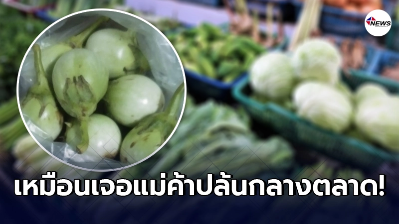 ลูกค้าสาวซื้อ มะเขือเปราะ ราคาสุดโหดในตลาด ไม่พอยังโดนแม่ค้าเหลี่ยมจัด ลูกค้าสาวซื้อ มะเขือเปราะ ราคาสุดโหดในตลาด ไม่พอยังโดนแม่ค้าเหลี่ยมจัด