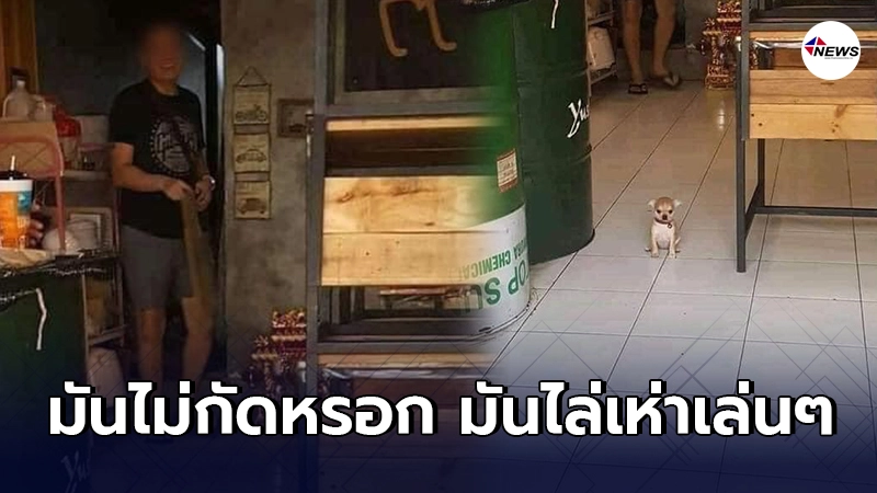 สาวโดนสุนัขไล่เห่าเเทบทุกวัน ทนไม่ไหวเข้าไปเตือนเจ้าของร้านให้ดูเเลดีๆ สาวโดนสุนัขไล่เห่าเเทบทุกวัน ทนไม่ไหวเข้าไปเตือนเจ้าของร้านให้ดูเเลดีๆ