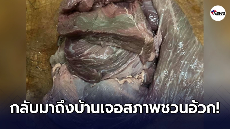 ลูกค้ารับไม่ได้ เจอแบบนี้เป็นครั้งที่ 2 หลังซื้อเนื้อมาจากตลาดสด ลูกค้ารับไม่ได้ เจอแบบนี้เป็นครั้งที่ 2 หลังซื้อเนื้อมาจากตลาดสด