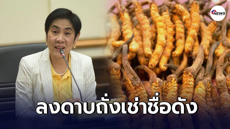 อย.ลงดาบโฆษณาถั่งเช่าชื่อดัง อวดอ้างสรรพคุณเกินจริง พร้อมเอาผิดผู้ผลิต อย.ลงดาบโฆษณาถั่งเช่าชื่อดัง อวดอ้างสรรพคุณเกินจริง พร้อมเอาผิดผู้ผลิต
